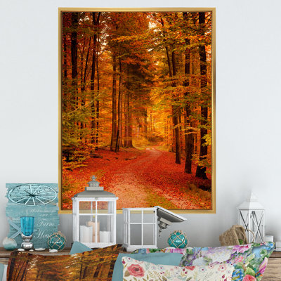 Path Through Red Autumn Forest " Path Through Red Autumn Forest "