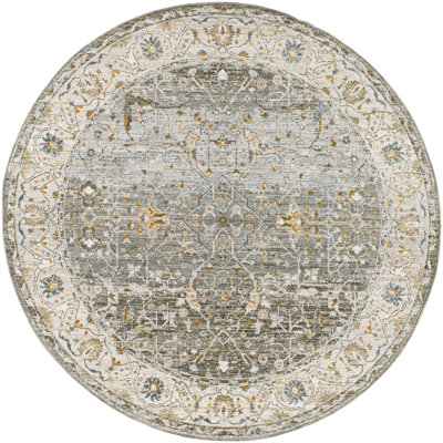 Oriental Indoor Rug
