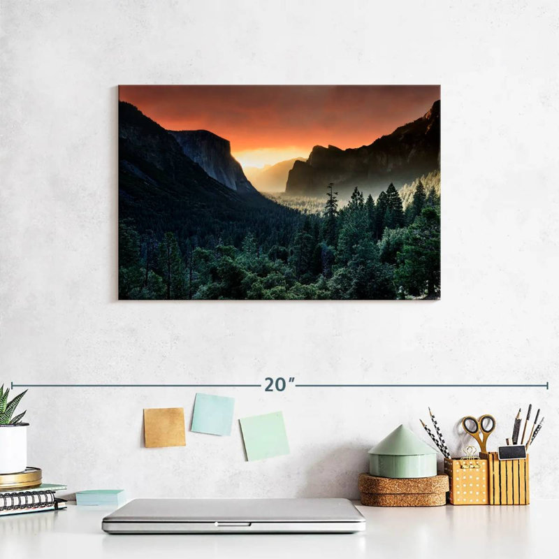 Harnek Forest Last Light, 8" H x 12" W