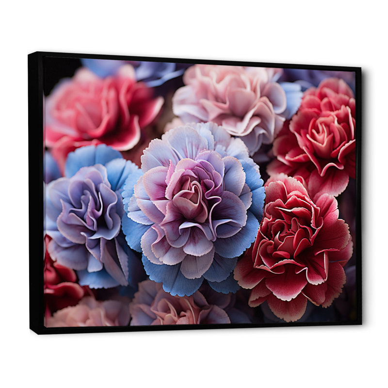 «Marcellas Carnations Field Vibrant III», reproduction sur toile, Cadre flottant noir, 12" H x 20" W