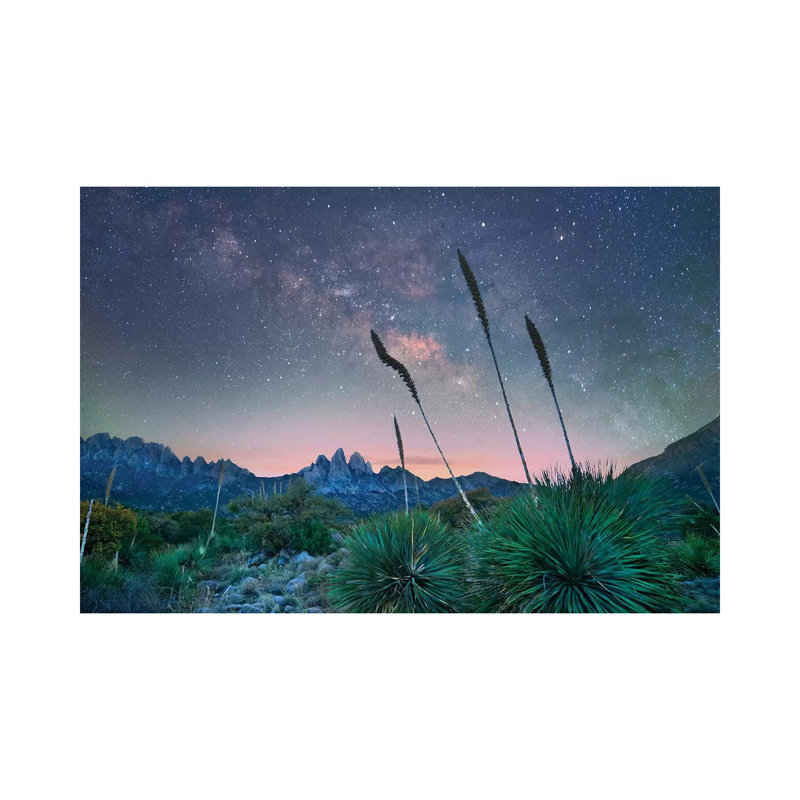 Agave And The Milky Way, Organ Mountains-Desert Peaks National Monument, New Mexico II by Tim Fitzharris - Wrapped Canvas Print