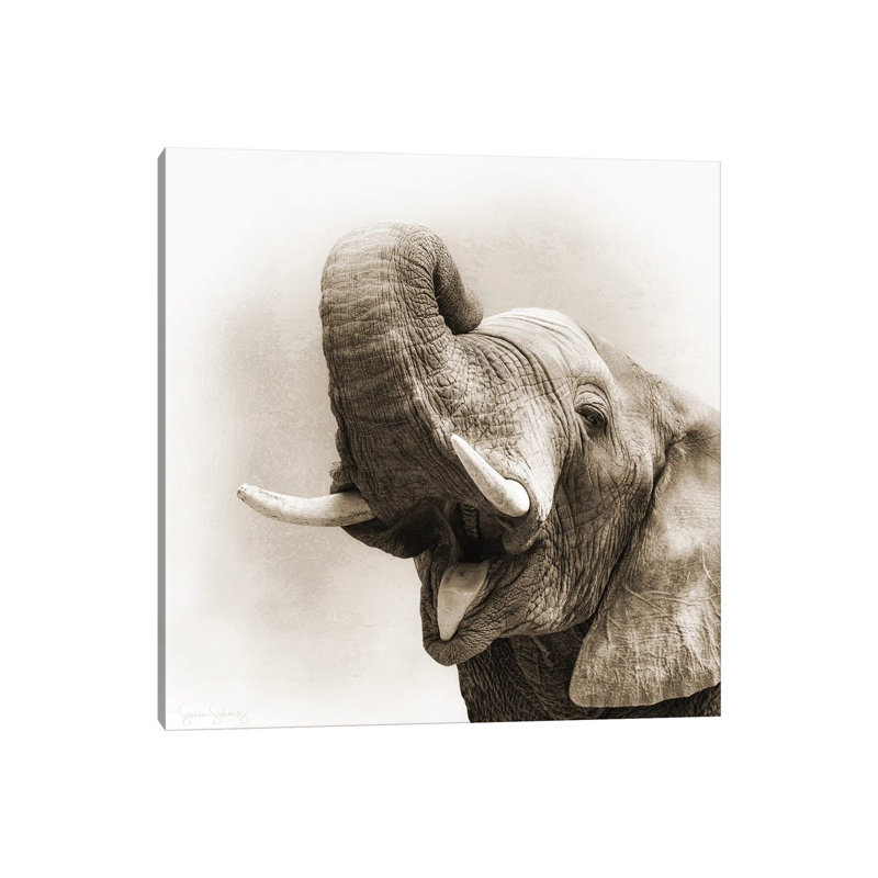 African Elephant Closeup Square Sepia by Susan Schmitz - Wrapped Canvas Gallery-Wrapped Canvas Giclée
