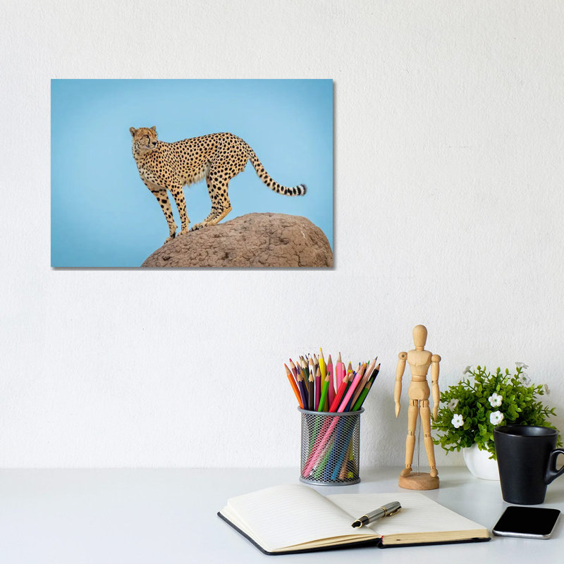 Cheetah In The Blue Hour by Jeffrey C. Sink - Wrapped Canvas Print, 20.32 cm H x 30.48 cm W