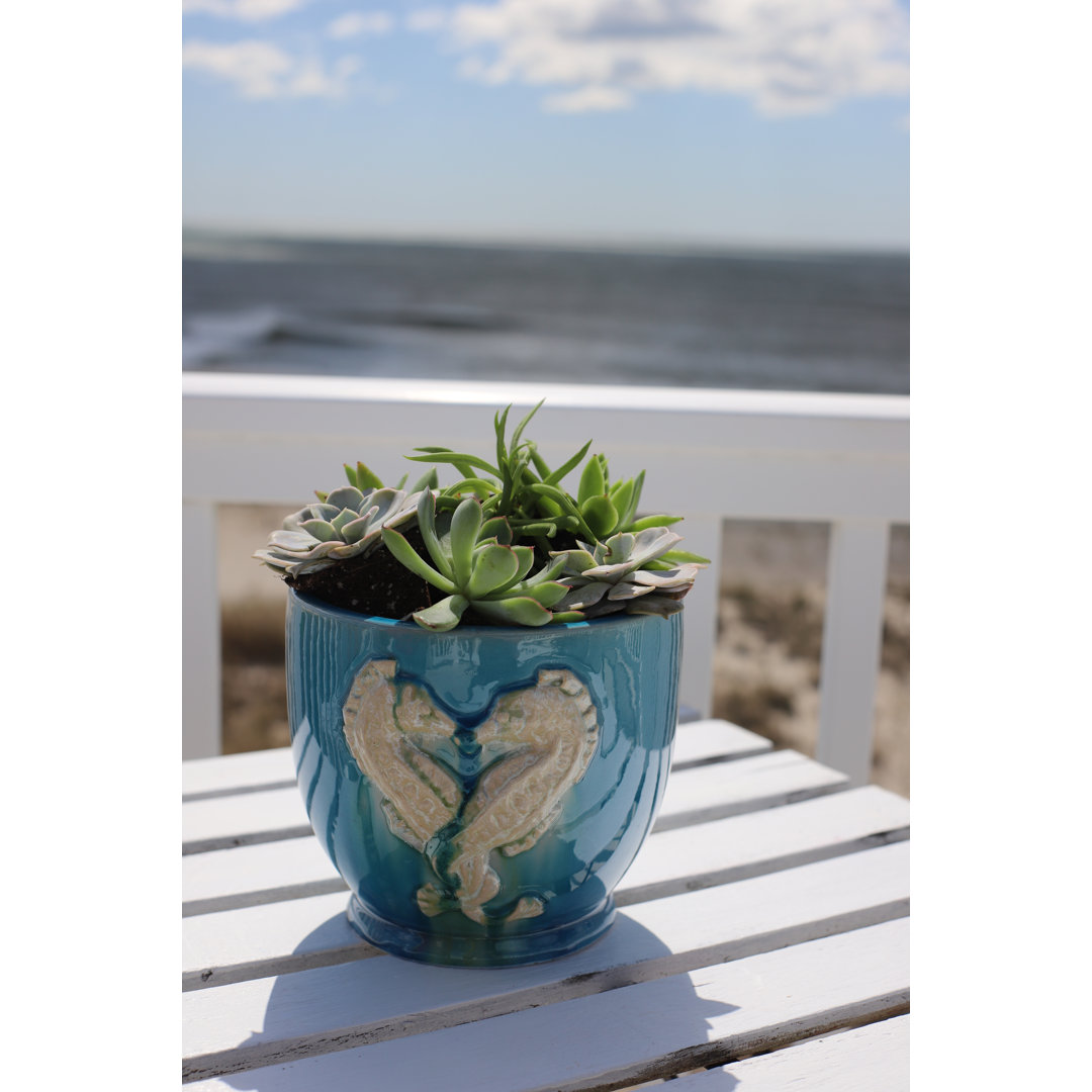 Grotto Seahorse Footed Planter Euro Ceramica