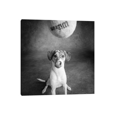Portrait Of A Mixed Dog Playing With A Tennis Ball - Wrapped Canvas Print