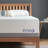 14" Cooling Gel Plush Memory Foam Mattress with Premium Cooling Cover - Sleep by Wayfair™-1931121577