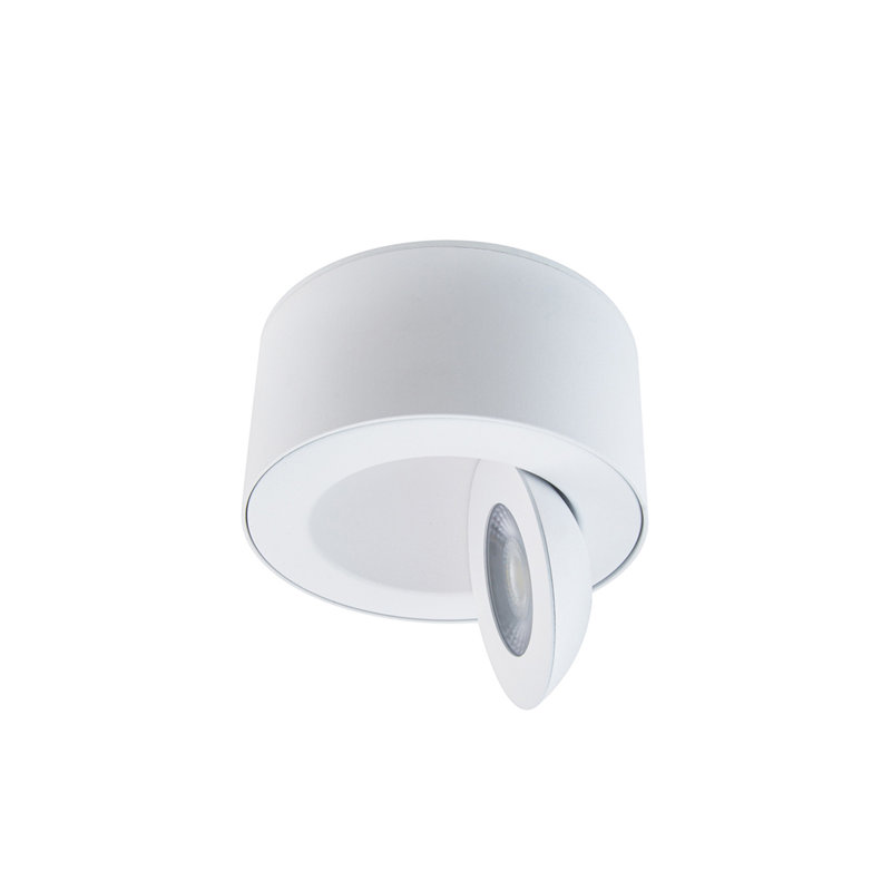 I Spy LED Outdoor Flush Mount, White, 3500K