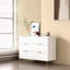 Skellytown Rectangle Storage Unit Accent Chest