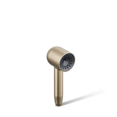 Statement Single-Function Iconic Handshower