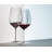 Riedel Performance Cabernet/Merlot Wine Glass, Set of 2