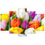 Colourful Tulip Flowers - No Frame Print on Canvas