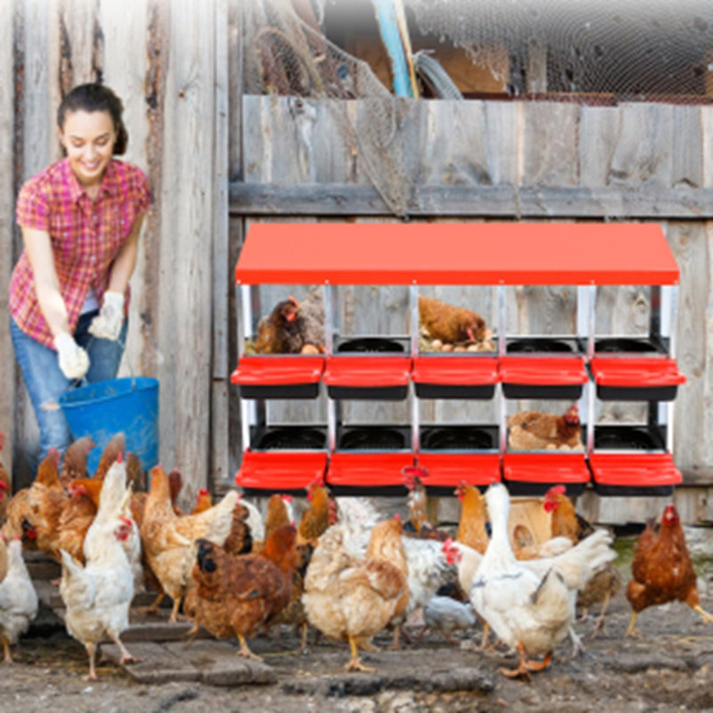 10 Compartment Metal Chicken Nesting Box Green