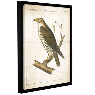 Bethan «The Lookout II» par Wild Apple, impression encadrée