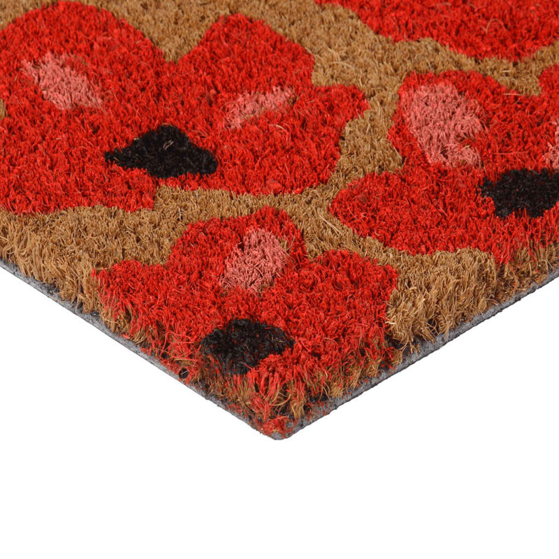 Andjoua Non-Slip No Pattern Doormat, 40cm W x 60cm L