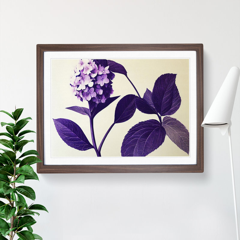 Classic Hydrangea Flowers - Single Picture Frame Print, 46cm H x 64cm W x 2cm D, Walnut