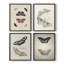 «Vintage Animal Print», impression encadrée XLV III - ensemble de 4-1855827180-1855827182