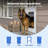 PetSafe® Extreme Weather Aluminum Pet Door™, Medium-51242731
