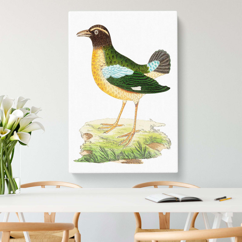 Green Crow by George Shaw - Wrapped Canvas Painting, 60cm H x 40cm W x 3cm D