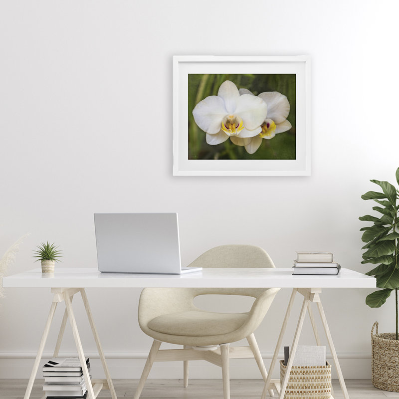 «Orchid Blossom Glow», reproduction sous verre encadrée, design par Seven Trees Design, H 17 po x l 21 po, Cadre blanc côtier