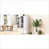 Chêne blanc Américain est en rupture de stock sélectionné