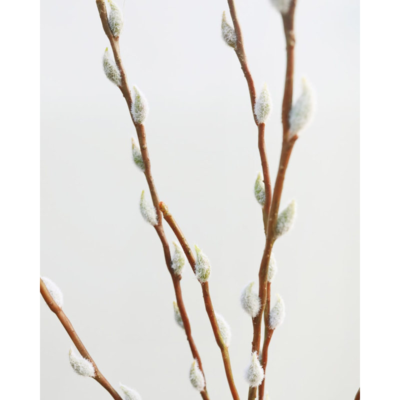 Faux Branch