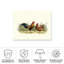 Toile d'extérieur Ashawn The Macneil Studio «Cockerel and Hen»-87945897