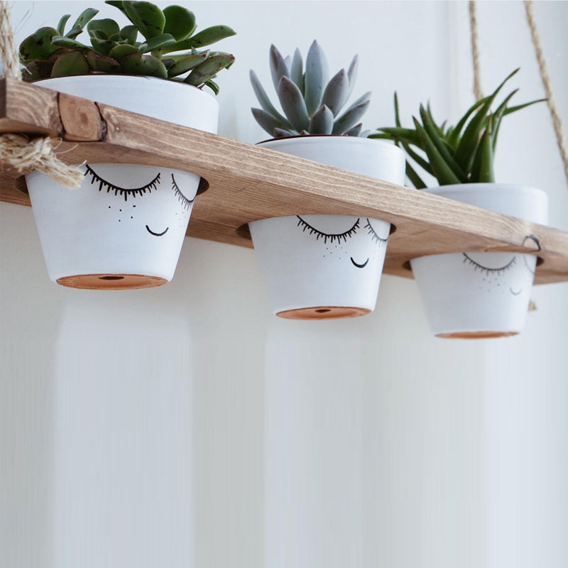 Solid Wood Floating Shelf with Adjustable Shelves