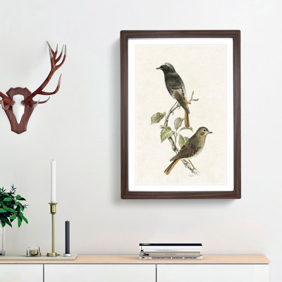 European Black Redstart by Von Wright - Picture Frame Painting Print