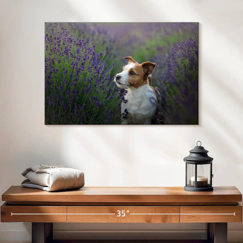 Crowle Jack Russell et lavande, H 16 po x l 24 po