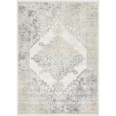 Oriental Indoor Rug