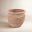 Ceramic Pot Planter