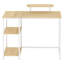 Metal Base Computer Desk-1647425927