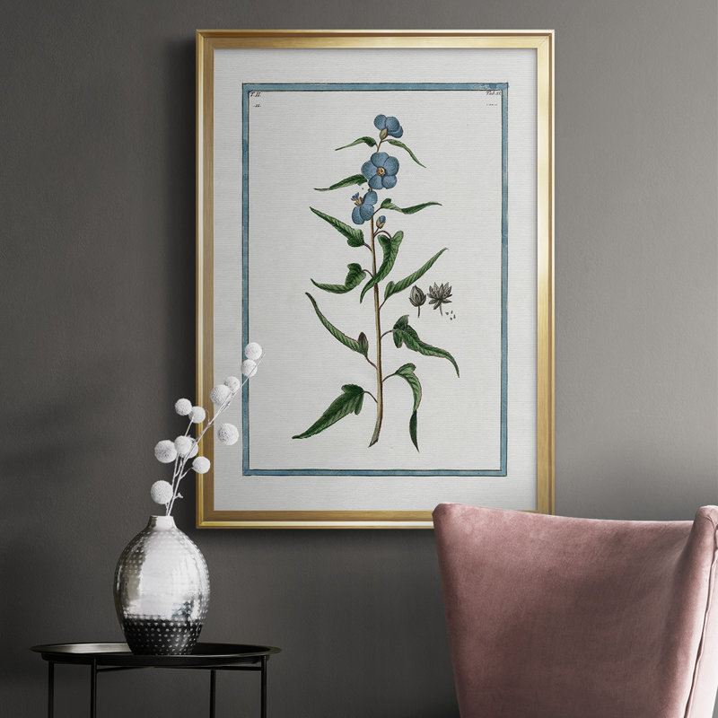 Shabby Elegance Botanical I, reproduction encadrée de qualité supérieure - prête à être accrochée, Or