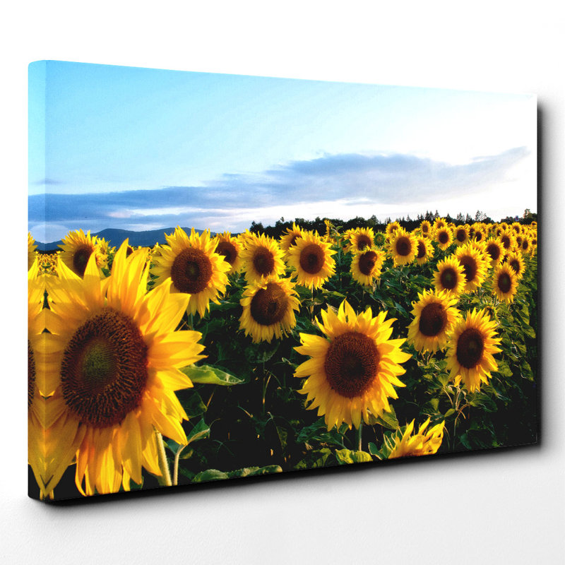 Wrapped Canvas Print, 35cm H x 50cm W