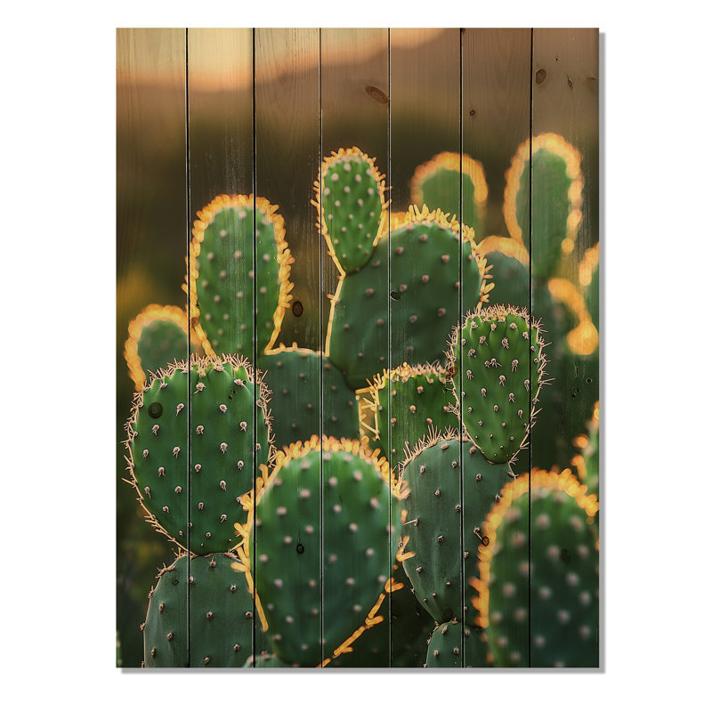 Cactus dans la lumière du matin II - Décoration murale en bois de cactus floral - sur bois de pin naturel