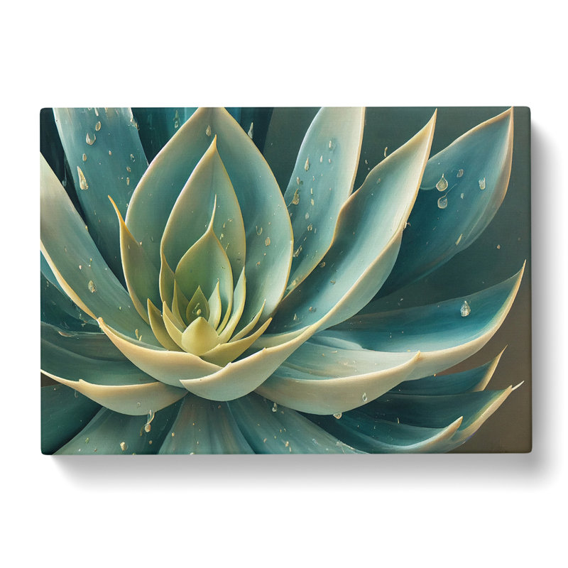 Tantalising Succulent Plant - Wrapped Canvas, 35cm H x 50cm W x 3cm D