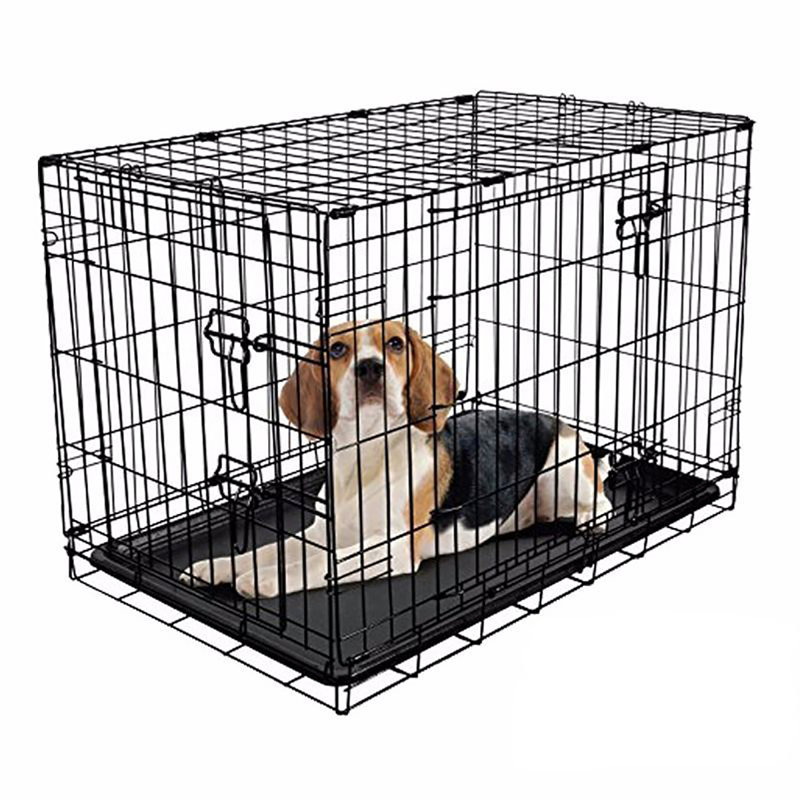 Ellianna Collapsible Pet Crate with 2 Doors