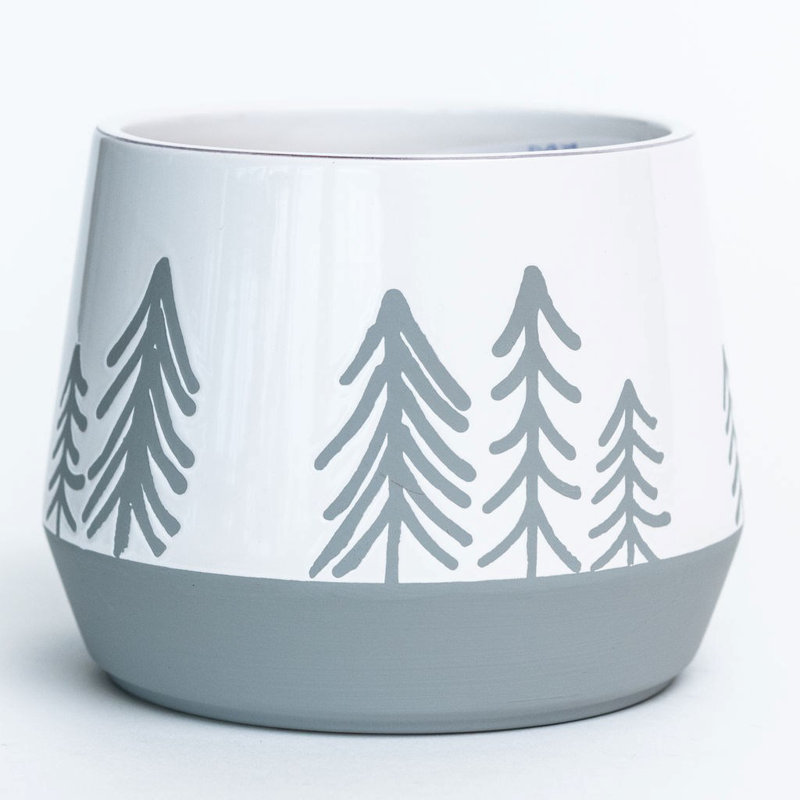 Bicknell blanc avec arbres gris et jardinière