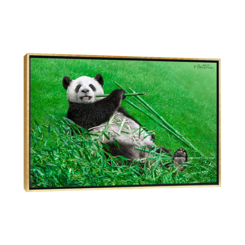 « Funny Panda » par Ben Heine-reproduction de photo, Pas de tapis, H 18 po x l 26 po x P 1,5 po, Toile encadrée d'or
