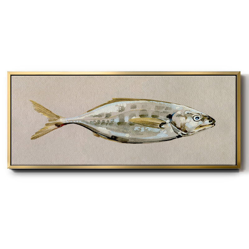 Fresh Fish Study I- Framed Canvas, 20" H x 50" W