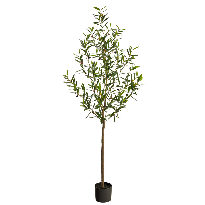 Olive artificielle en pot, H 72 po x l 28 po x P 10 po