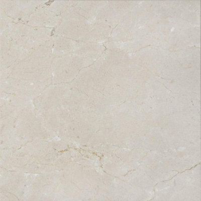 24 in. x 24 in. Stone Tile