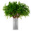 Faux Tender Plant