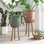 Ensemble de 2 jardinières en osier - 12 po x 12 po x 22 po