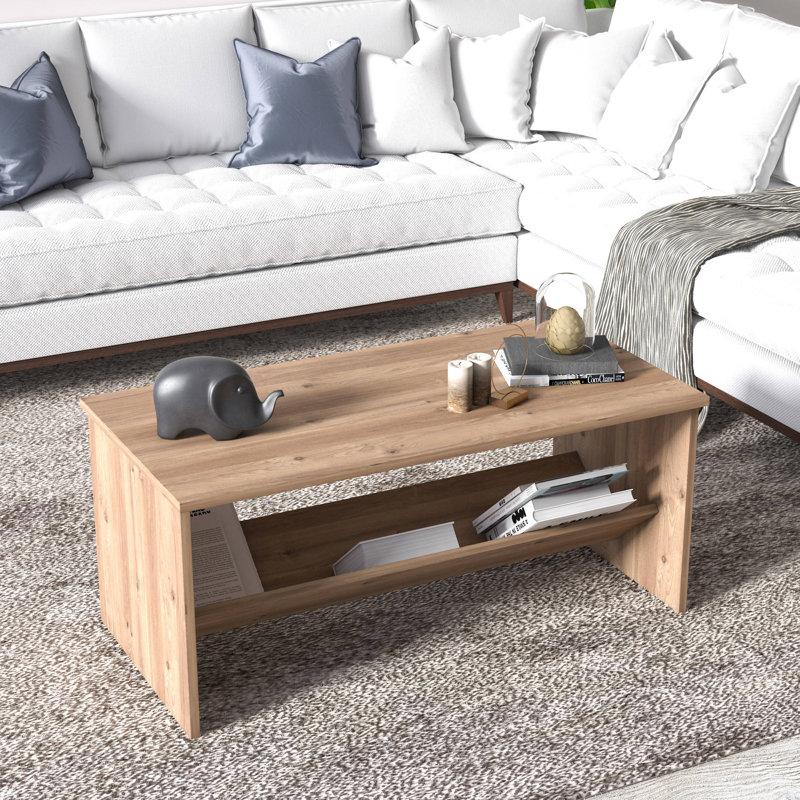 Terna Center Coffee Table, Modern Tea Table with Storage Shelf, 100 x 50 x 44 cm Cocktail Table, Oak