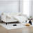 Eleanor Twin Size Beige Velvet Upholstered Daybed-238083611-243225633
