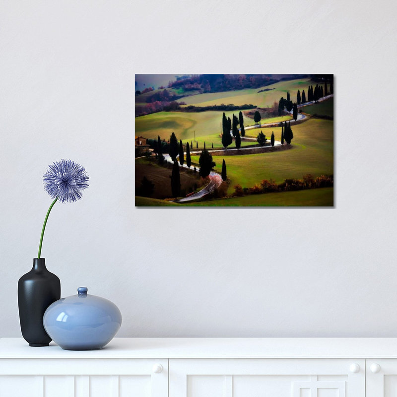 Tuscan Serpent, Tuscany, Italy 1 Piece Wrapped Canvas Wall Art, 30.48 cm H x 45.72 cm W