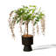 Jasmine qui pleure artificiellement, plante d'intérieur en pot-833100184-833100191