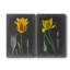 «Midnight Tulip V», ensemble de 2 reproductions d'art sur toile tendue-794647751