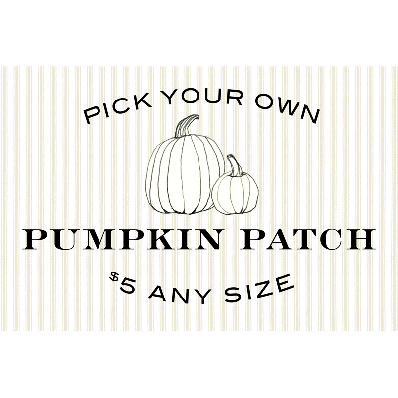 Pumpkin Patch - Publicité sur toile tendue, H 8 po x l 12 po, Non, Silver Floater Framed Canvas